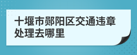十堰市郧阳区交通违章处理去哪里