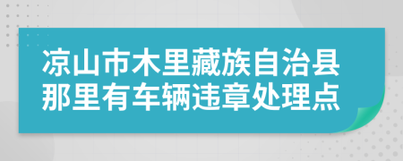 凉山市木里藏族自治县那里有车辆违章处理点
