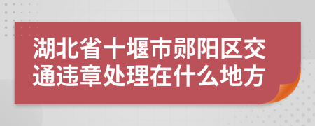 湖北省十堰市郧阳区交通违章处理在什么地方