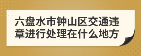 六盘水市钟山区交通违章进行处理在什么地方