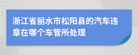 浙江省丽水市松阳县的汽车违章在哪个车管所处理