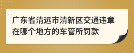 广东省清远市清新区交通违章在哪个地方的车管所罚款