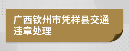 广西钦州市凭祥县交通违章处理