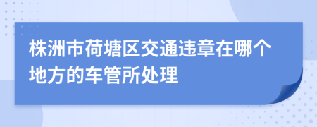 株洲市荷塘区交通违章在哪个地方的车管所处理