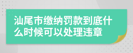 汕尾市缴纳罚款到底什么时候可以处理违章