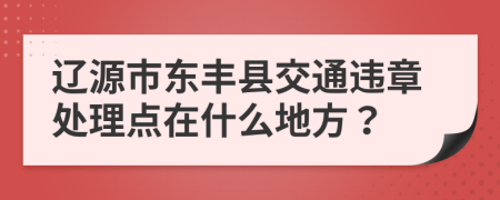 辽源市东丰县交通违章处理点在什么地方？