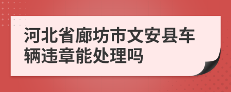 河北省廊坊市文安县车辆违章能处理吗