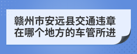 赣州市安远县交通违章在哪个地方的车管所进