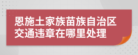 恩施土家族苗族自治区交通违章在哪里处理