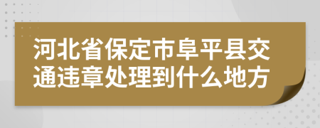 河北省保定市阜平县交通违章处理到什么地方