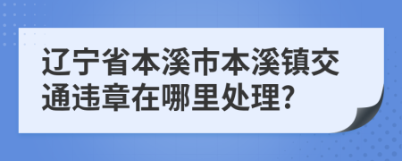 辽宁省本溪市本溪镇交通违章在哪里处理?