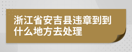 浙江省安吉县违章到到什么地方去处理