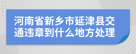 河南省新乡市延津县交通违章到什么地方处理