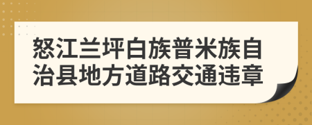 怒江兰坪白族普米族自治县地方道路交通违章