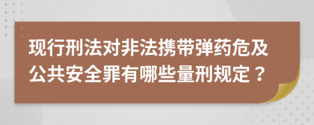 现行刑法对非法携带弹药危及公共安全罪有哪些量刑规定？