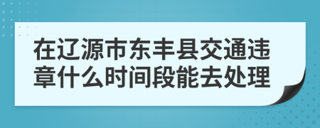 在辽源市东丰县交通违章什么时间段能去处理