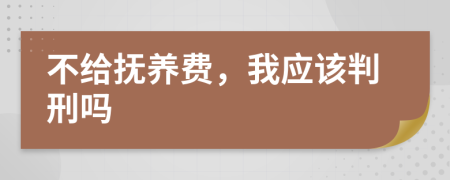 不给抚养费，我应该判刑吗