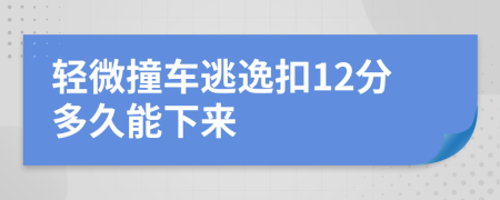 轻微撞车逃逸扣12分多久能下来