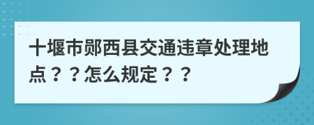 十堰市郧西县交通违章处理地点？？怎么规定？？