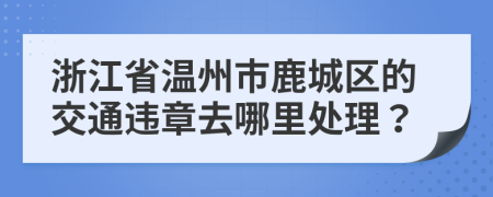 浙江省温州市鹿城区的交通违章去哪里处理？