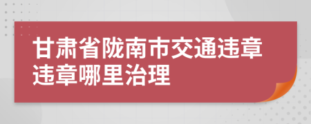 甘肃省陇南市交通违章违章哪里治理