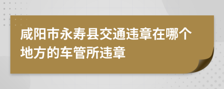 咸阳市永寿县交通违章在哪个地方的车管所违章