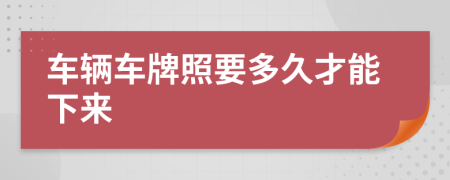 车辆车牌照要多久才能下来