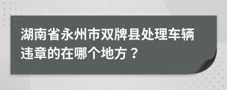 湖南省永州市双牌县处理车辆违章的在哪个地方？