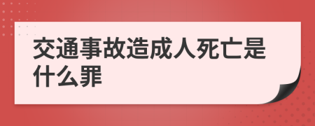 交通事故造成人死亡是什么罪