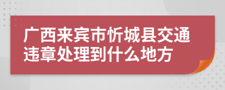 广西来宾市忻城县交通违章处理到什么地方