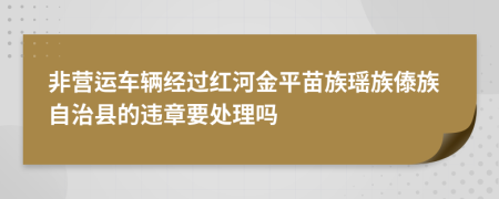 非营运车辆经过红河金平苗族瑶族傣族自治县的违章要处理吗