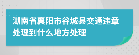 湖南省襄阳市谷城县交通违章处理到什么地方处理