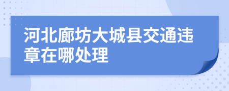 河北廊坊大城县交通违章在哪处理