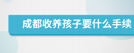 成都收养孩子要什么手续