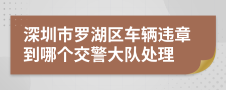 深圳市罗湖区车辆违章到哪个交警大队处理