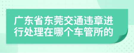 广东省东莞交通违章进行处理在哪个车管所的