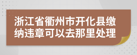 浙江省衢州市开化县缴纳违章可以去那里处理