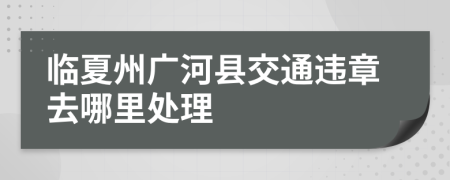 临夏州广河县交通违章去哪里处理