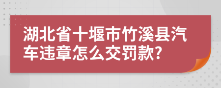 湖北省十堰市竹溪县汽车违章怎么交罚款?