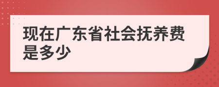 现在广东省社会抚养费是多少