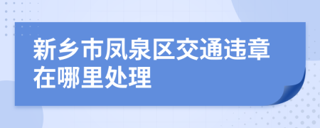 新乡市凤泉区交通违章在哪里处理