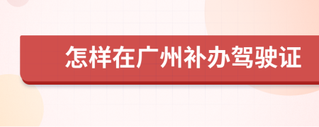 怎样在广州补办驾驶证