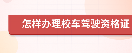 怎样办理校车驾驶资格证