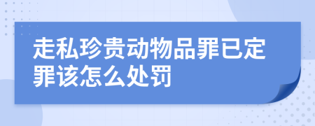 走私珍贵动物品罪已定罪该怎么处罚