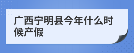 广西宁明县今年什么时候产假