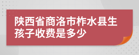 陕西省商洛市柞水县生孩子收费是多少