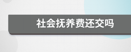 社会抚养费还交吗