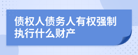债权人债务人有权强制执行什么财产