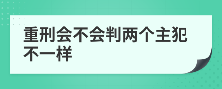 重刑会不会判两个主犯不一样