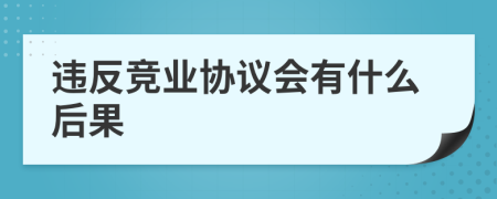 违反竞业协议会有什么后果